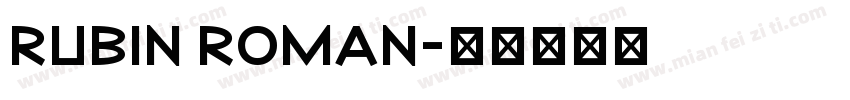 Rubin Roman字体转换